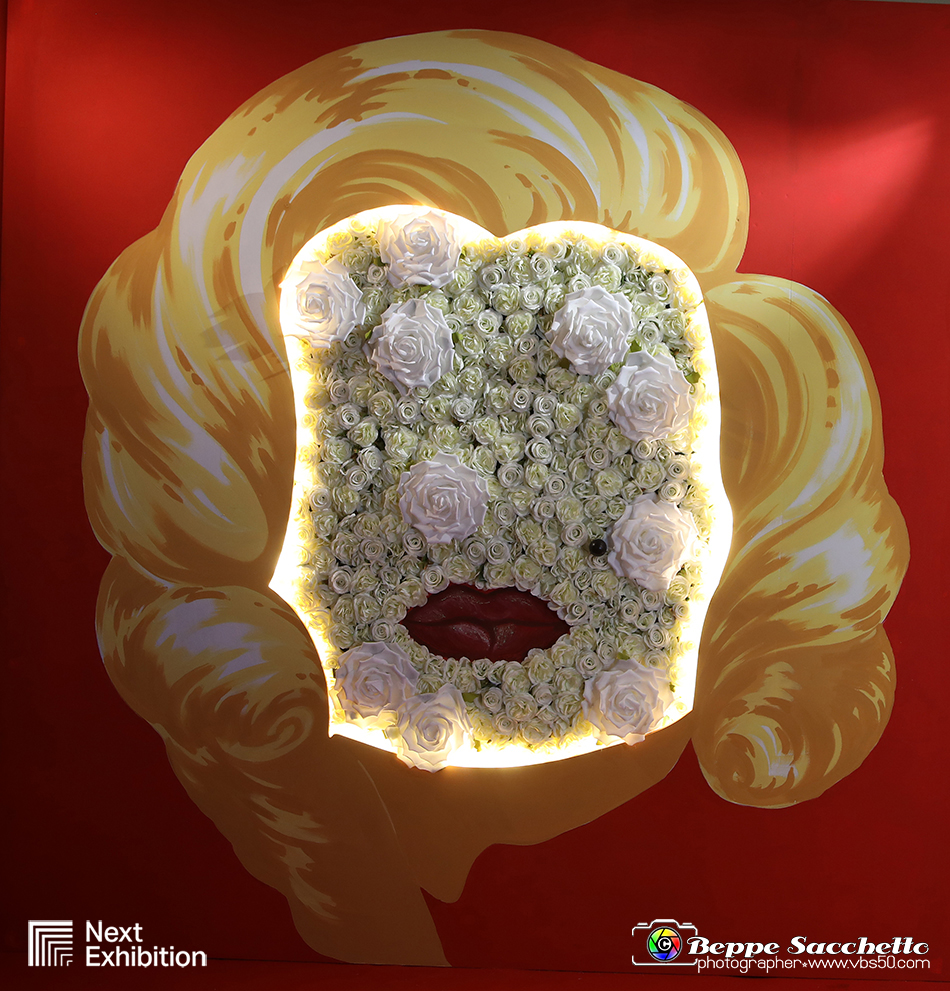 VBS_6866 - Mostra Forever Marilyn by Sam Shaw.jpg